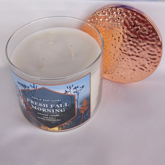 BATH & BODY WORKS HOME 'FRESH FALL MORNING' 3~WICK CANDLE HAMMERED COPPER TOP - Picture 11 of 13